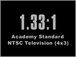 1331logo